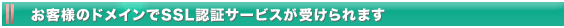 お客様のドメインでSSL認証サービスが受けられます。