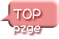 TOP pzge
