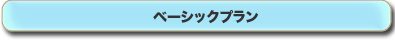 ベーシックプラン